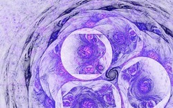 2014 04 26 Evening Plastic 56-white.jpg